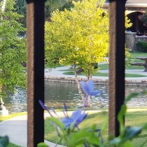 Meet your Posher, Billie